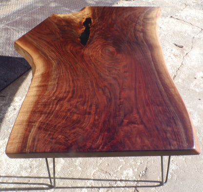 Black Walnut Crotch Coffee Table with Hairpin legs